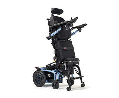 Forest 3 S.U. (Stand Up)